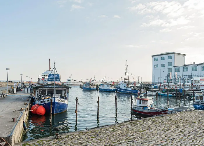 Отель Imperial Ruegen 3*